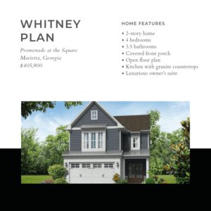 whitney plan